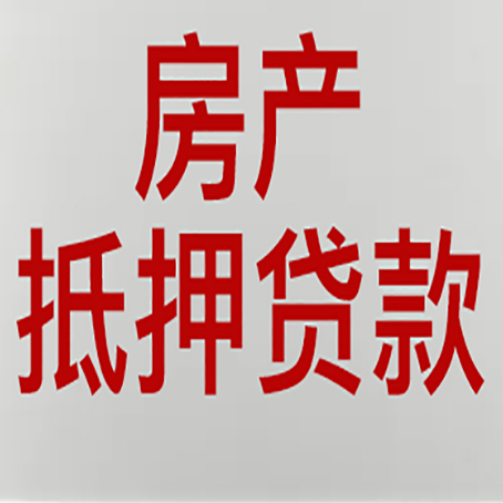 扬州贷款公司新渝启服推荐选择